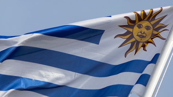 Caso ‘Tequila’: el fallo que abre un precedente para el registro de marcas en Uruguay Caso ‘Tequila’: el fallo que abre un precedente para el registro de marcas en Uruguay