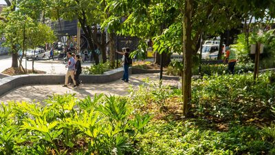 ¿Hasta cuándo se sentirá la ola de calor en Colombia? Esto dicen los expertos ¿Hasta cuándo se sentirá la ola de calor en Colombia? Esto dicen los expertos