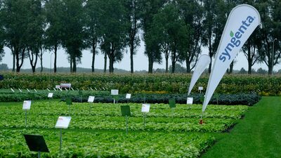 Syngenta quer encontrar o ‘Nubank do agro’ para destravar o crédito rural no Brasil Syngenta quer encontrar o ‘Nubank do agro’ para destravar o crédito rural no Brasil