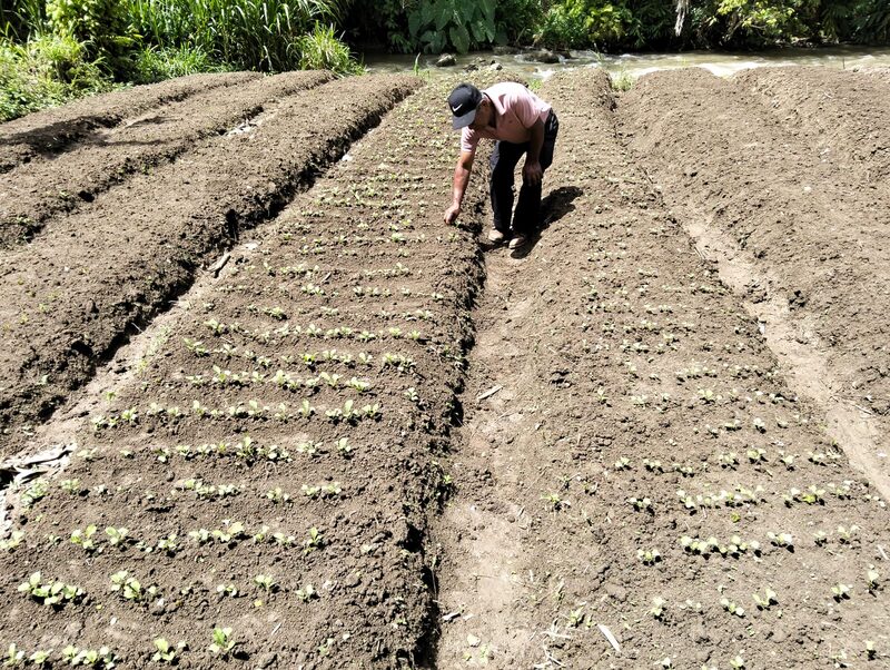 Proyectos de desarrollo sostenible en Cubulco, Guatemala, el 28 de agosto de 2025. Proyectos de desarrollo sostenible en Cubulco, Guatemala, el 28 de agosto de 2025.