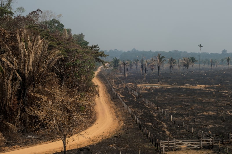 Daños de los incendios en el estado de Rondonia, Brasil. Daños de los incendios en el estado de Rondonia, Brasil.