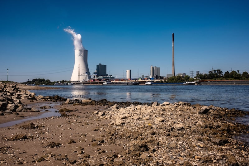 El lecho del río Rin en medio de una ola de calor El lecho del río Rin en medio de una ola de calor