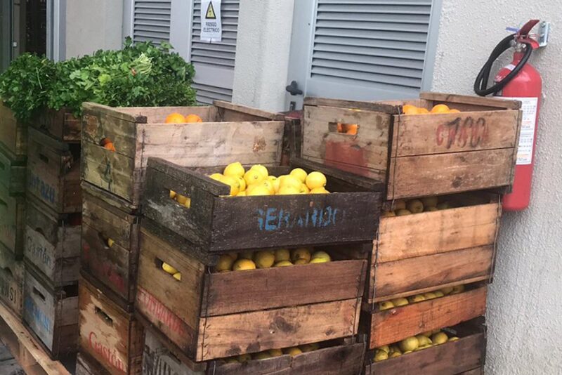 Foto: Intendencia de Montevideo. Foto: Intendencia de Montevideo.