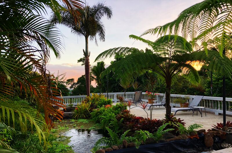 Cambios en la tecnología, la accesibilidad y el lujo influirán en sus viajes y experiencias. Cambios en la tecnología, la accesibilidad y el lujo influirán en sus viajes y experiencias.