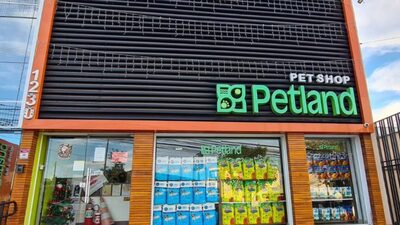 Com família Jereissati como sócia, Petland acelera franquias de bairro e evita online Com família Jereissati como sócia, Petland acelera franquias de bairro e evita online