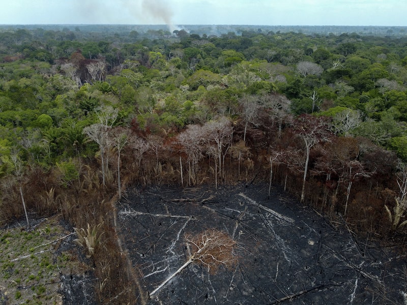 O Fundo Clima do banco de desenvolvimento oferece uma taxa de juros de 1% ao ano (Foto: Michael Dantas/AFP/Getty Images) O Fundo Clima do banco de desenvolvimento oferece uma taxa de juros de 1% ao ano (Foto: Michael Dantas/AFP/Getty Images)