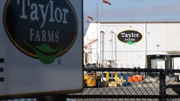 Taylor Farms retira del mercado salsa y guacamole por posible riesgo de salmonela Taylor Farms retira del mercado salsa y guacamole por posible riesgo de salmonela