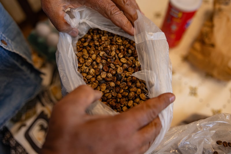 A Coffee Harvest As Trump Tariffs Threaten US Consumption Outlook A Coffee Harvest As Trump Tariffs Threaten US Consumption Outlook