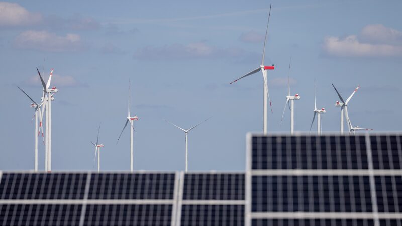 Maioria dos governos ‘está cego’ em relação aos custos climáticos, aponta estudo Maioria dos governos ‘está cego’ em relação aos custos climáticos, aponta estudo