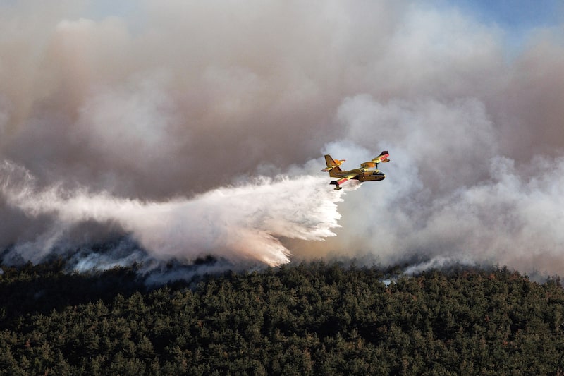 La nueva aeronave DHC-155 tendrá una capacidad similar de carga de agua que la anterior pero contará con algunas mejoras como el A/C y control del timón. La nueva aeronave DHC-155 tendrá una capacidad similar de carga de agua que la anterior pero contará con algunas mejoras como el A/C y control del timón.