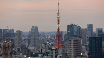 Asia promete US$30.000 millones en acuerdos energéticos y minerales con EE.UU. Asia promete US$30.000 millones en acuerdos energéticos y minerales con EE.UU.