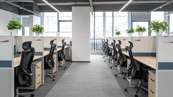 Las empresas están empezando a decir que la IA es la razón de los recortes de empleo Las empresas están empezando a decir que la IA es la razón de los recortes de empleo