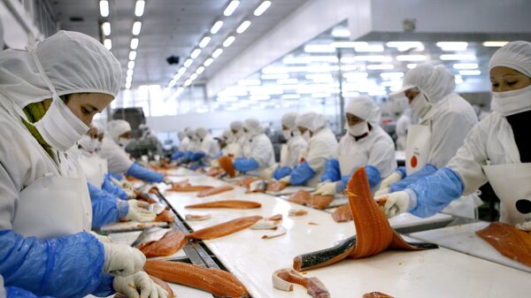 Disputa por el salmón chileno alerta a las empresas chinas en el extranjero Disputa por el salmón chileno alerta a las empresas chinas en el extranjero