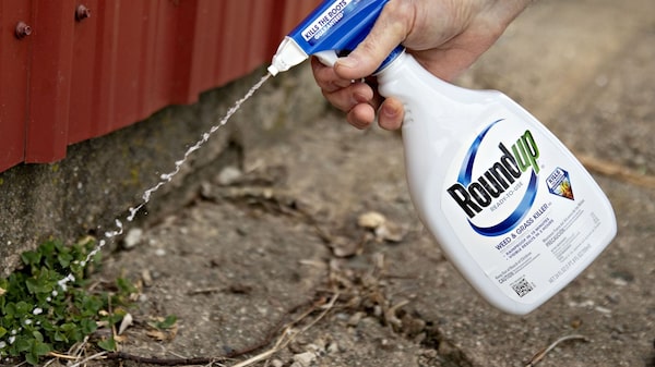 Bayer propõe acordo de US$ 7,25 bi para encerrar processos contra o Roundup Bayer propõe acordo de US$ 7,25 bi para encerrar processos contra o Roundup