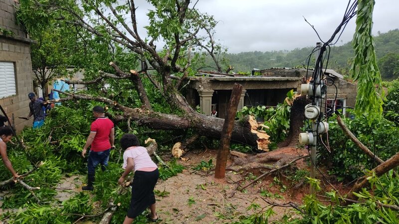 Árboles y tendido eléctrico ante el paso de Fiona Árboles y tendido eléctrico ante el paso de Fiona