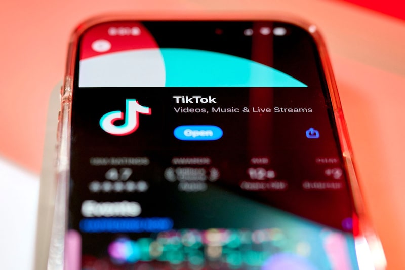 The TikTok app page. The TikTok app page.