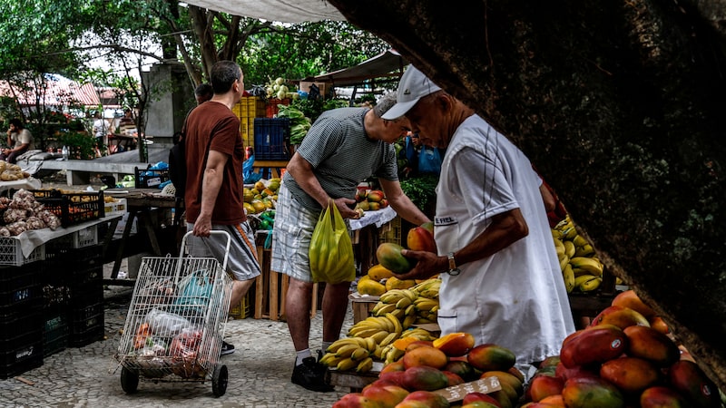 PIB: economia brasileira cresce 0,5% no segundo trimestre e supera projeções PIB: economia brasileira cresce 0,5% no segundo trimestre e supera projeções