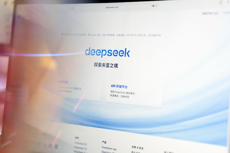 El sitio web de DeepSeek. El sitio web de DeepSeek.