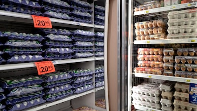 Preço do ovo se mantém em nível recorde e é desafio a Trump em controle da inflação Preço do ovo se mantém em nível recorde e é desafio a Trump em controle da inflação