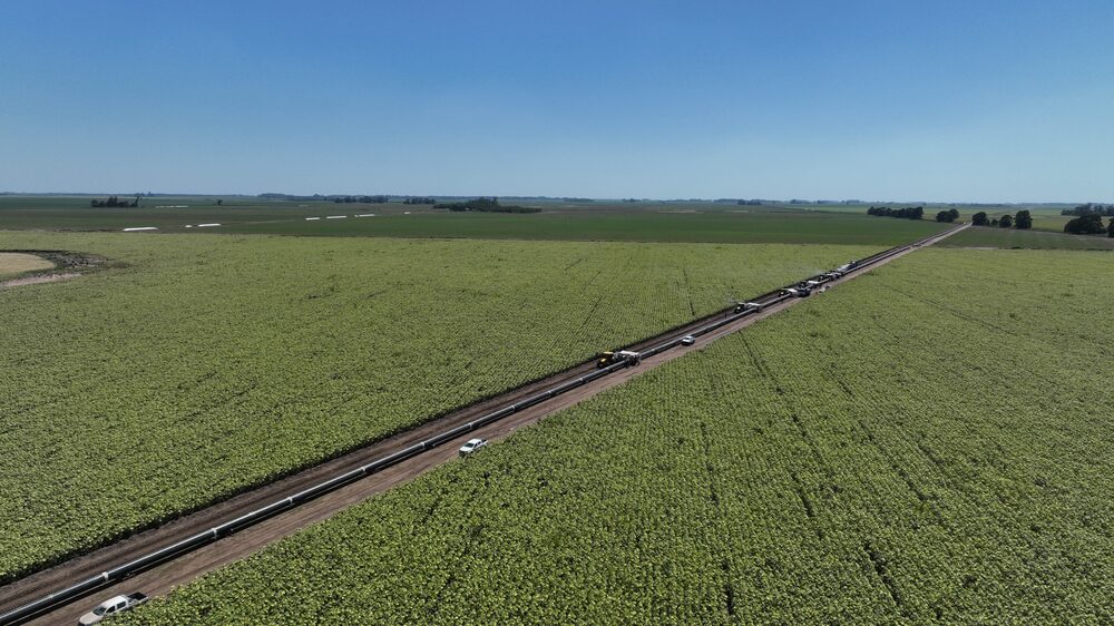 Buscará que su construcción sea a través de financiamiento privado Buscará que su construcción sea a través de financiamiento privado