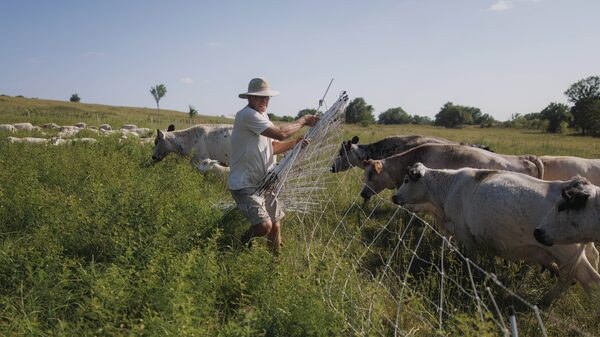 Como o seguro agrícola se tornou uma barreira para a agricultura regenerativa nos EUA Como o seguro agrícola se tornou uma barreira para a agricultura regenerativa nos EUA