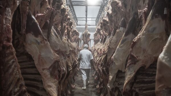 Marfrig: resultado cresce com impulso da América do Sul e impacto limitado de tarifas Marfrig: resultado cresce com impulso da América do Sul e impacto limitado de tarifas