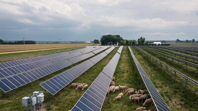 Metas climáticas merecem nossa atenção. Não as narrativas que as rotulam de ‘fraude’ Metas climáticas merecem nossa atenção. Não as narrativas que as rotulam de ‘fraude’