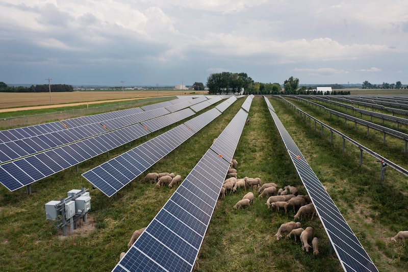 Republicanos impulsan cambios al plan fiscal de Trump para salvar proyectos solares y eólicos Republicanos impulsan cambios al plan fiscal de Trump para salvar proyectos solares y eólicos