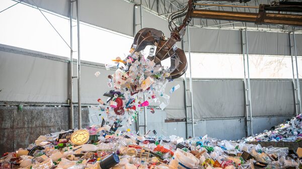 Los ‘supergusanos’ pueden digerir la espuma de poliestireno, según estudio Los ‘supergusanos’ pueden digerir la espuma de poliestireno, según estudio