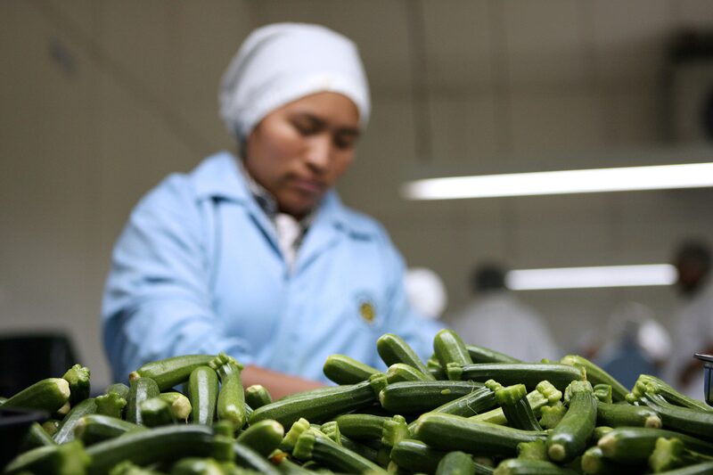Es uno de los sectores que impulsó el Índice de Actividad Industrial. Es uno de los sectores que impulsó el Índice de Actividad Industrial.