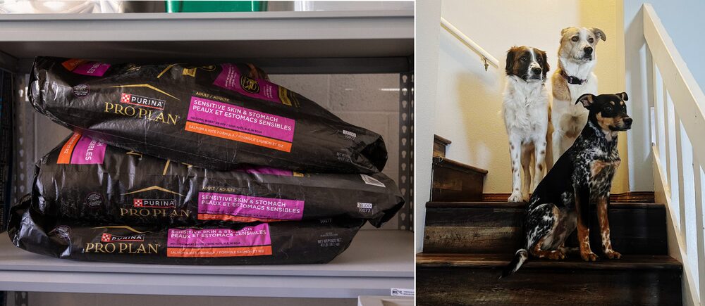 (Foto: Bloomberg) (Foto: Bloomberg)