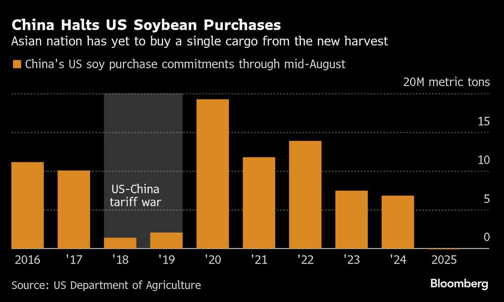 (Fonte: USDA) (Fonte: USDA)