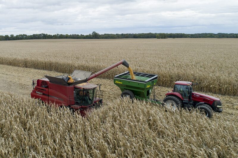 Los precios del maíz, que habían subido a principios de año, borraron casi toda la ganancia de 2025. Los precios del maíz, que habían subido a principios de año, borraron casi toda la ganancia de 2025.