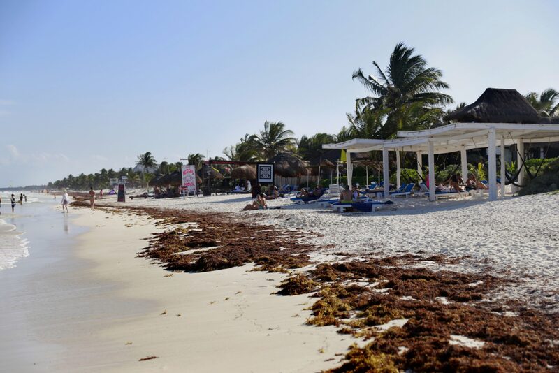 La venta le permitirá a Posadas enfocarse en operaciones de mayor valor y fortalece su flexibilidad financiera. La venta le permitirá a Posadas enfocarse en operaciones de mayor valor y fortalece su flexibilidad financiera.