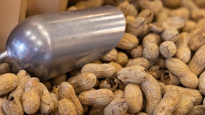 ¿Alergia al cacahuate? Este parche puede ser una solución para niños entre 4 y 7 años ¿Alergia al cacahuate? Este parche puede ser una solución para niños entre 4 y 7 años