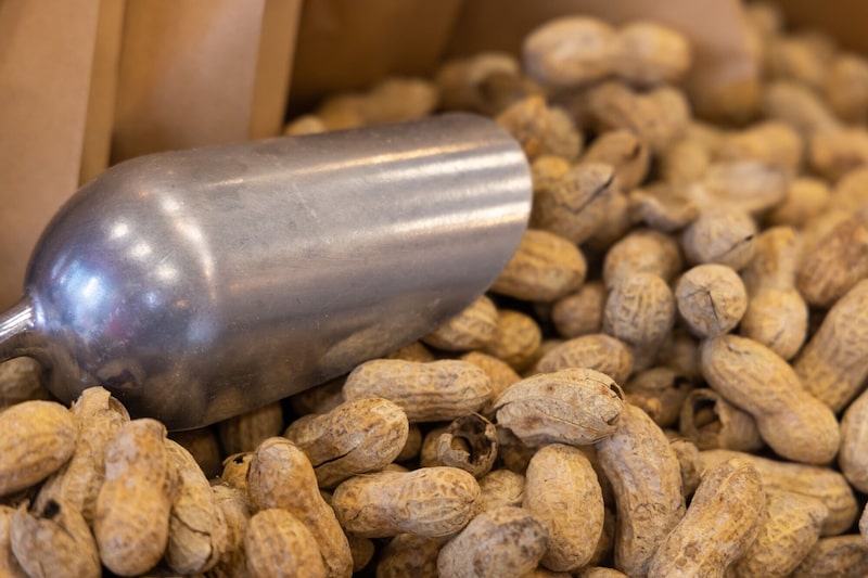 Cacahuates con cáscara apilados. Cacahuates con cáscara apilados.