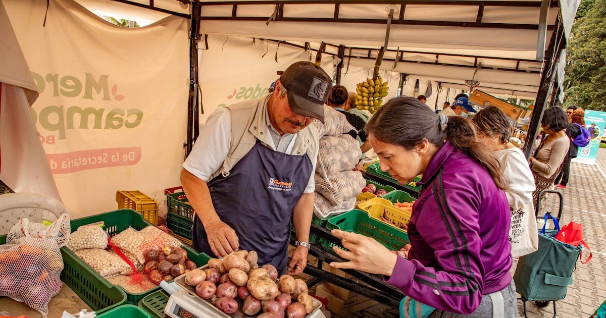 Inflación y tasas en América Latina: lo que moverá los mercados esta semana