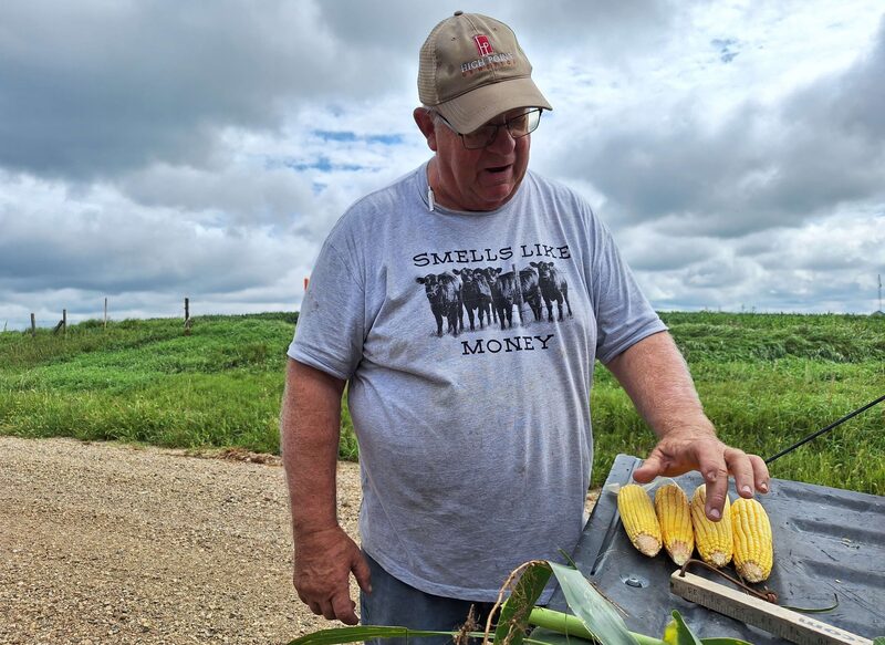 Fazendeiro Roger Cerven inspeciona espigas de milho em Dakota do Sul no primeiro dia do Pro Farmer Crop Tour, em 18 de agosto. (Foto: Erin Ailworth/Bloomberg) Fazendeiro Roger Cerven inspeciona espigas de milho em Dakota do Sul no primeiro dia do Pro Farmer Crop Tour, em 18 de agosto. (Foto: Erin Ailworth/Bloomberg)