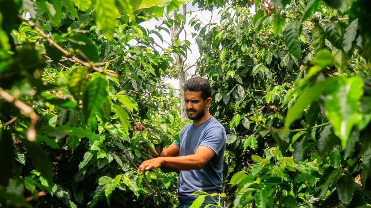Cafeicultor hondurenho em sua fazenda