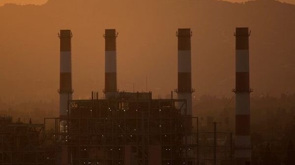 Mercado de carbono se abre paso para ser aliado de metas ambientales en Colombia Mercado de carbono se abre paso para ser aliado de metas ambientales en Colombia