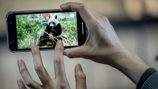 China estudia cómo reducir la ‘adicción’ a los videos cortos en los jóvenes China estudia cómo reducir la ‘adicción’ a los videos cortos en los jóvenes