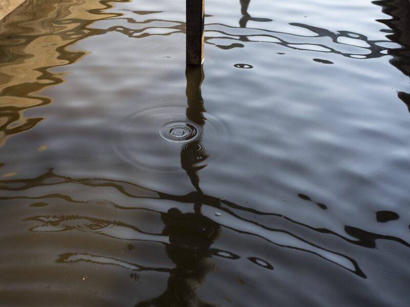 Talking to physicians about changes in cognition can help people identify early signs of dementia. Talking to physicians about changes in cognition can help people identify early signs of dementia.