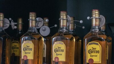 Tequila Jose Cuervo prevê prejuízo de US$ 80 milhões com tarifas dos EUA Tequila Jose Cuervo prevê prejuízo de US$ 80 milhões com tarifas dos EUA