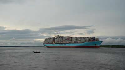 Más allá del café: las otras joyas del agro colombiano con potencial exportador Más allá del café: las otras joyas del agro colombiano con potencial exportador