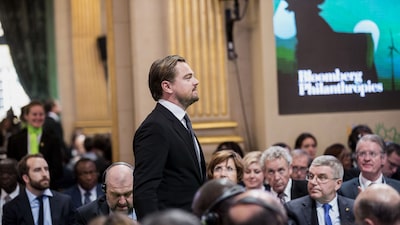 Chile rejeita projeto da Enel após apelo de DiCaprio por sapo em risco de extinção Chile rejeita projeto da Enel após apelo de DiCaprio por sapo em risco de extinção