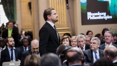 La defensa de DiCaprio a una rana en peligro frenó un proyecto eléctrico entre Chile y Argentina La defensa de DiCaprio a una rana en peligro frenó un proyecto eléctrico entre Chile y Argentina