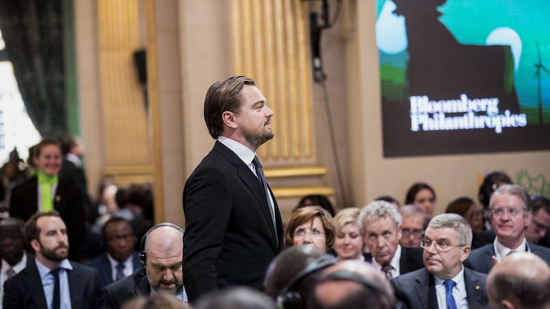 Chile rejeita projeto da Enel após apelo de DiCaprio por sapo em risco de extinção Chile rejeita projeto da Enel após apelo de DiCaprio por sapo em risco de extinção