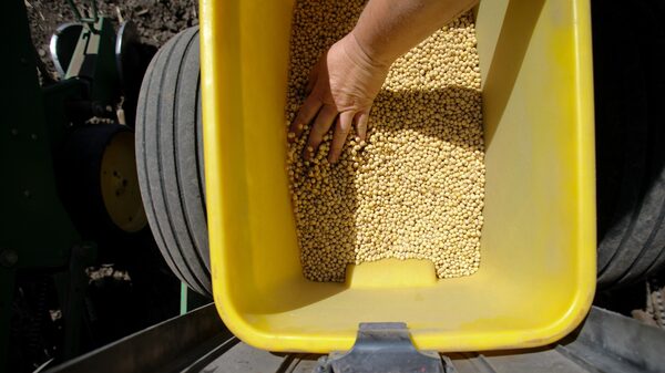 Aceite de soja toca mínimos por suspensión de aranceles en Argentina y baja demanda china Aceite de soja toca mínimos por suspensión de aranceles en Argentina y baja demanda china