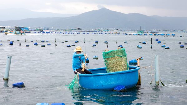 De África a Sudamérica: China explora el mundo en busca de nuevos proveedores de alimentos De África a Sudamérica: China explora el mundo en busca de nuevos proveedores de alimentos