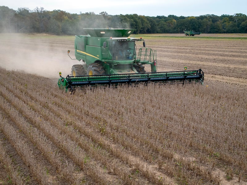 Plataforma amplia acesso a mercados físicos de commodities em meio a incertezas e oscilações de preços Plataforma amplia acesso a mercados físicos de commodities em meio a incertezas e oscilações de preços